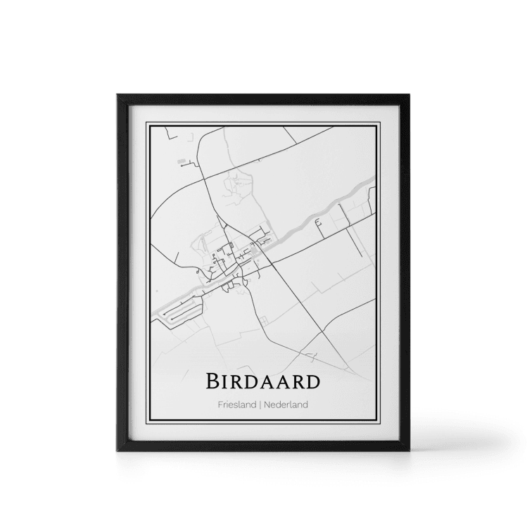 Plattegrond Birdaard poster