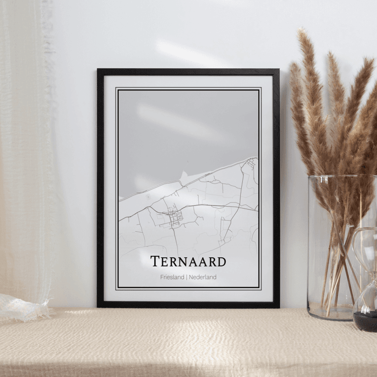Plattegrond Ternaard poster 2