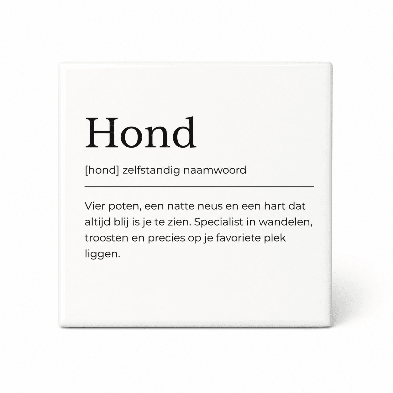 Hond woordenboektegeltje op keramiek