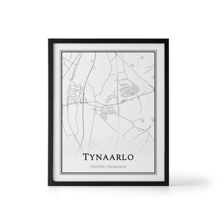 Plattegrond Tynaarlo poster