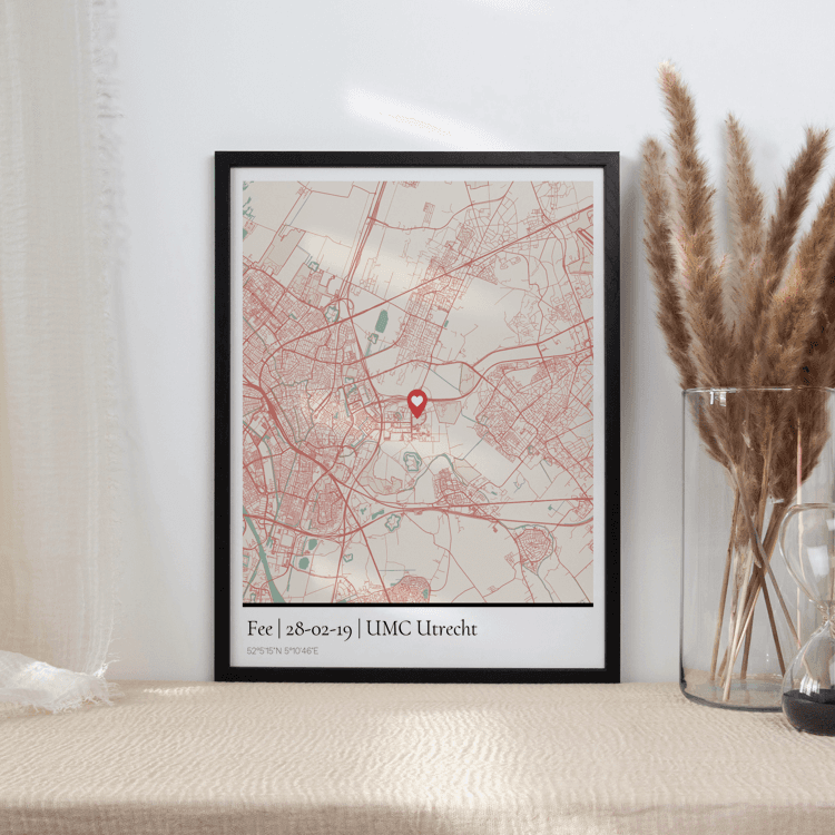 Kaartposter - Geboorteposter met Datum & Geboorteplaats 2